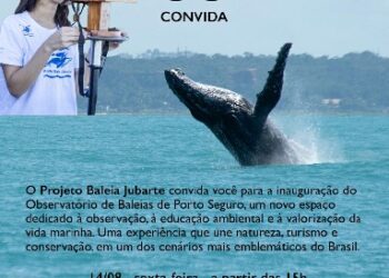 Observatório de Baleias-Jubarte unirá turismo, ciência e patrimônio na Cidade Histórica