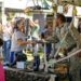 Festival de Aves movimenta Porto Seguro com ciência, turismo e natureza