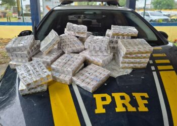 Emagrecedores clandestinos, aves, drogas e arma, são apreensões da Policia Rodoviária Federal
