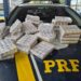 Emagrecedores clandestinos, aves, drogas e arma, são apreensões da Policia Rodoviária Federal