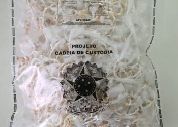 Mais de 2,6 mil pedras de crack são apreendidas em desdobramento da Operação Contrafluxo