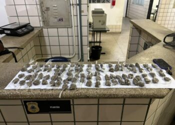 PMBA apreende 94 papelotes de maconha em Teixeira de Freitas; um homem foi preso
