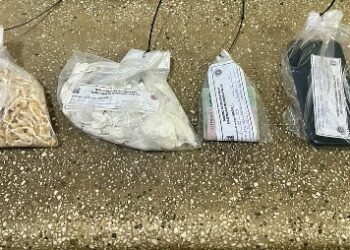 PMBA APREENDE GRANDE QUANTIDADE DE DROGAS DURANTE AÇÃO NO BAIRRO JAQUEIRA, EM ITAMARAJU