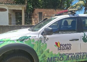 Semac realiza fiscalizações no Parque Ecológico e no Belo Campo
