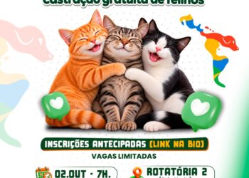 Porto Seguro participa de mobilização latino-americana com castração gratuita de felinos