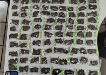 PMBA PRENDE HOMEM POR TRÁFICO DE DROGAS E APREENDE MAIS DE 1 KG DE MACONHA EM POSTO DA MATA