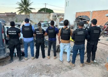 Polícia Civil localiza desmanche clandestino e prende quatro pessoas em Seabra