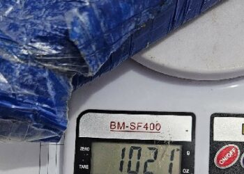 PMBA APREENDE APROXIMADAMENTE 1 KG DE MACONHA EM ALCOBAÇA