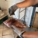 Porto Seguro avança no enfrentamento ao peixe-leão