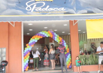 DIA DA CRIANÇA, com comemorações particulares a festa foi feita