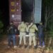 Ação conjunta recupera em Ibirapitanga carga de cacau em pó avaliada em R$ 500 mil