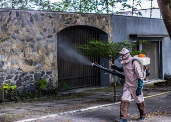 Prefeitura de Eunápolis reforça prevenção à dengue durante período de chuvas e calor